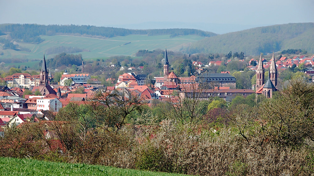 Heiligenstadt im Frühling