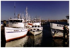 Heiligenstädter Hafen / Ostsee