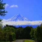 Heiliger Berg der Maoris - Taranaki --Mount Egmont