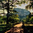 Heiliger Felsen                   .DSC_8004