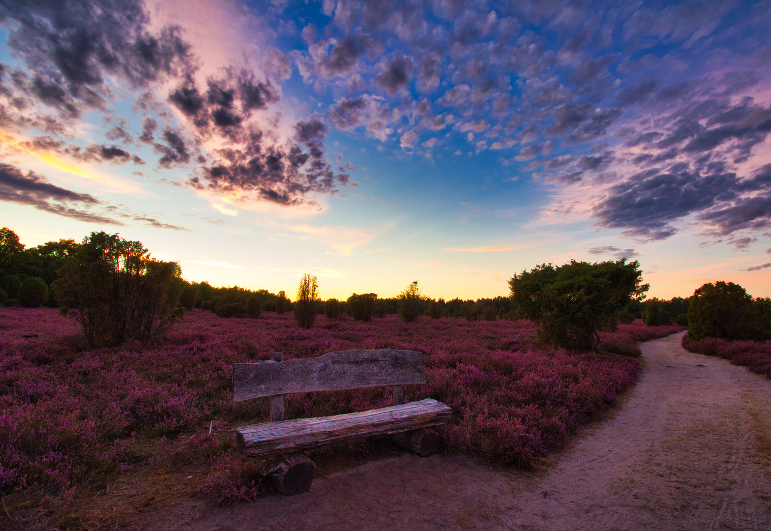 Heiliger Hain in der Südheide am 01.09.2020