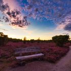 Heiliger Hain in der Südheide am 01.09.2020