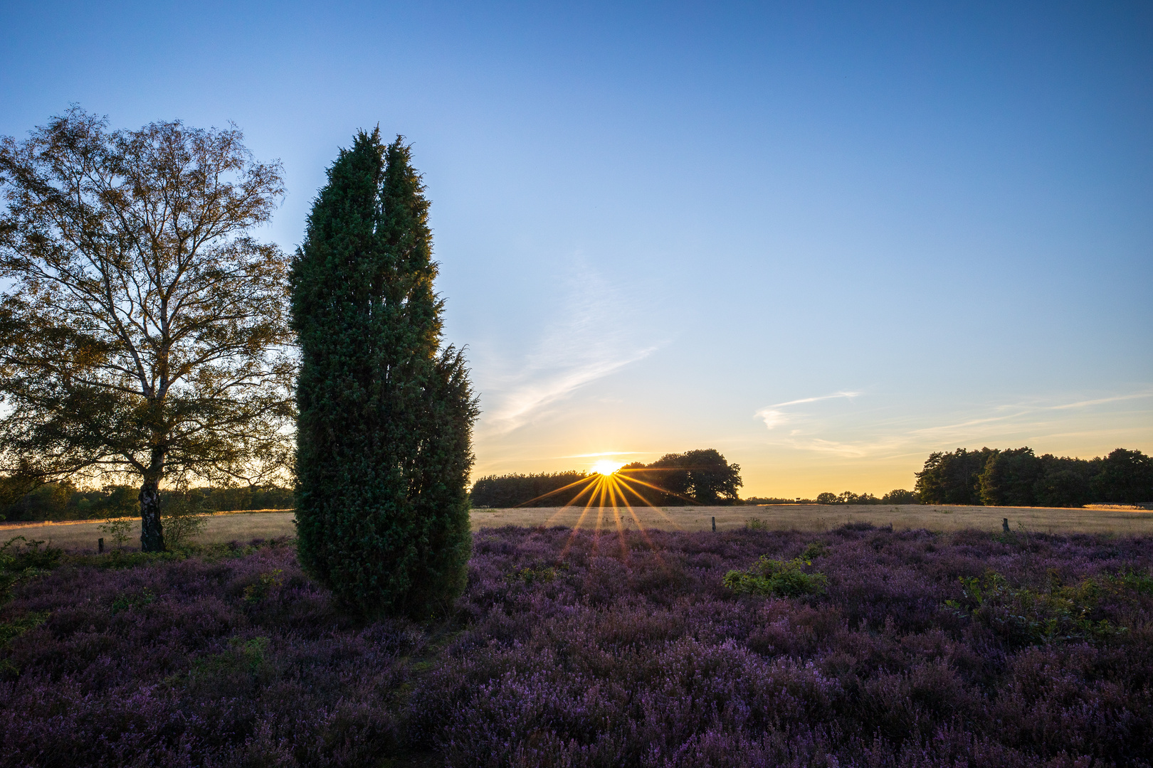 Heiliger Hain Sunset Heide 