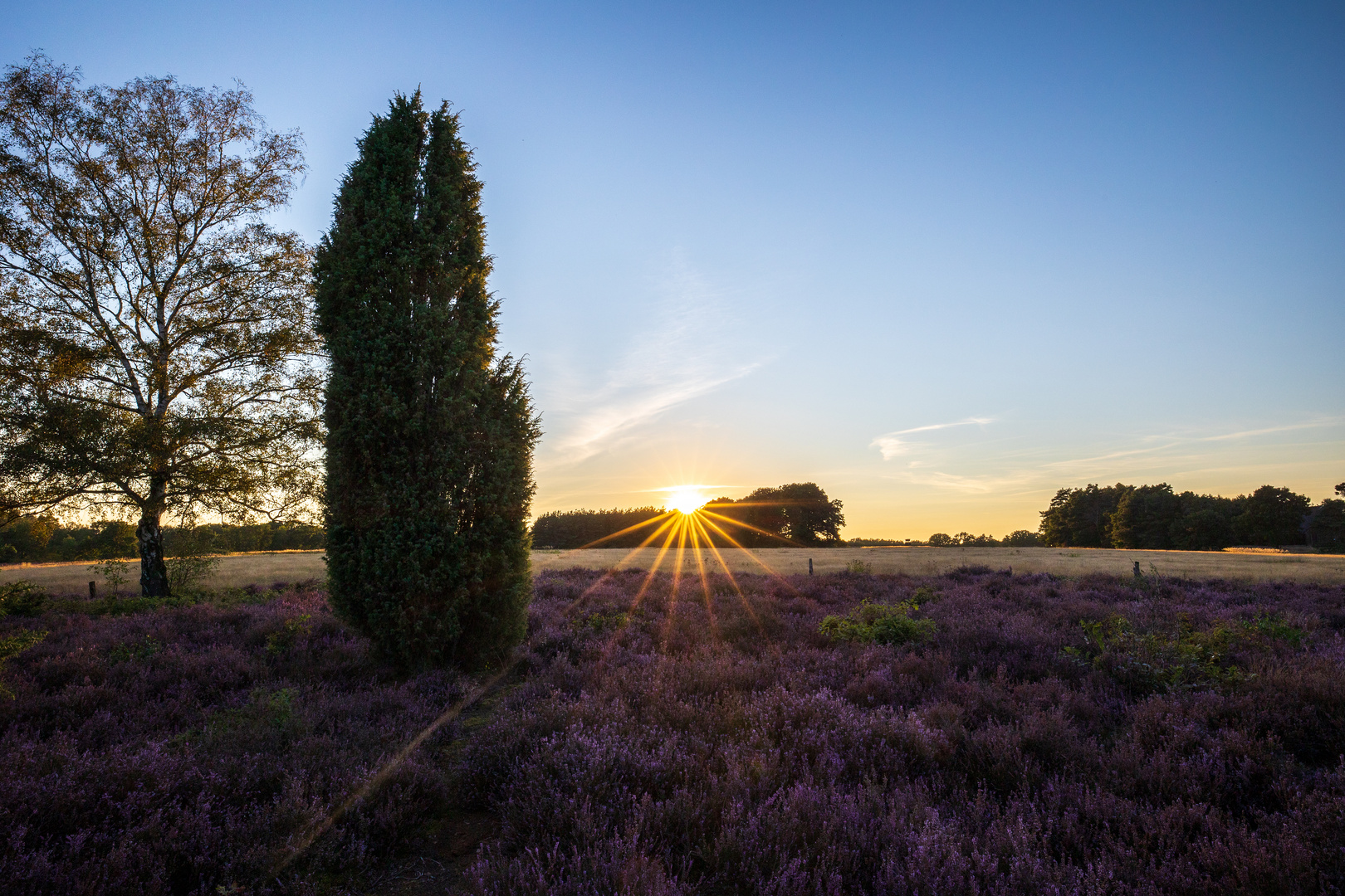 Heiliger Hain Sunset Heide 