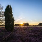 Heiliger Hain Sunset Heide 