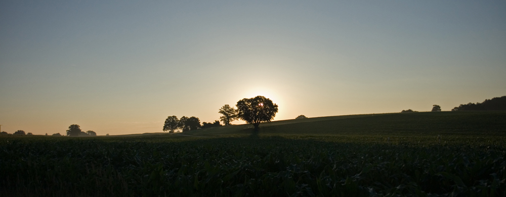 Heiliger Schein