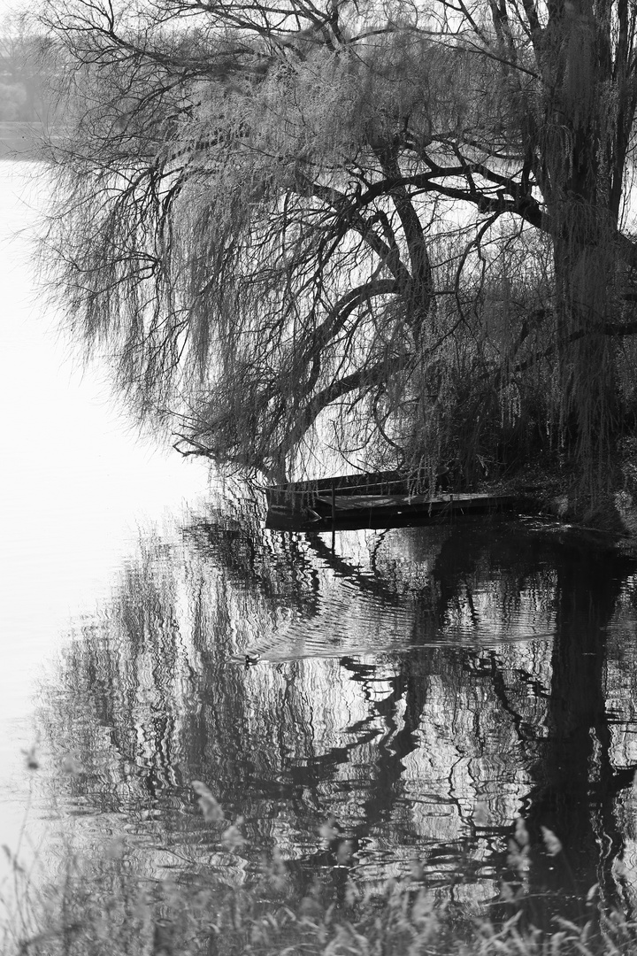 "Heiliger See" (Holy Sea) in Potsdam, Germany BW