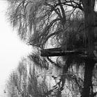 "Heiliger See" (Holy Sea) in Potsdam, Germany BW