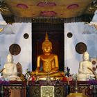 ...Heiligtümer im Zahntempel Kandy...