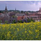 Heilsbronn im Frühling