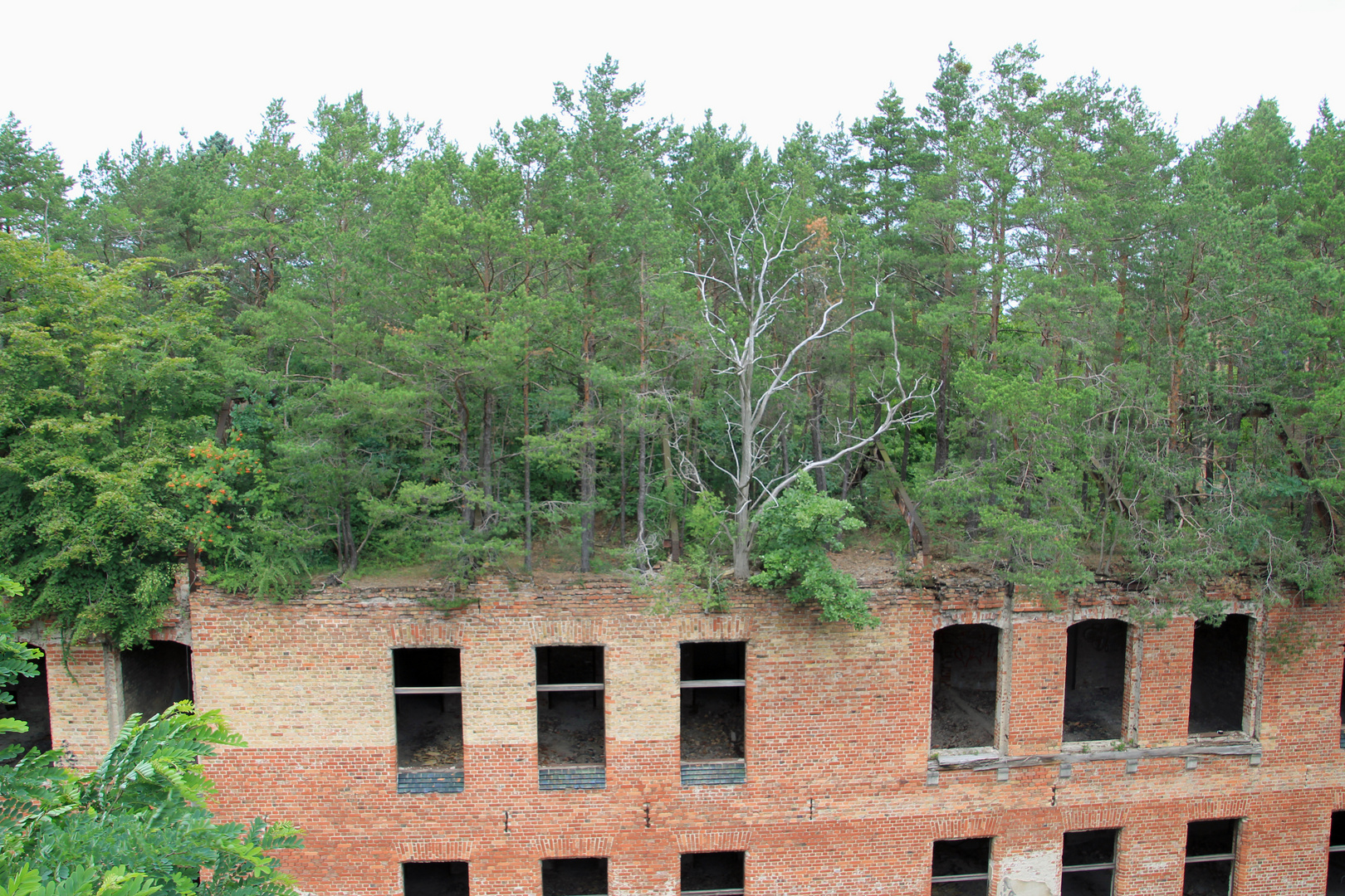 Heilstätten Beelitz 