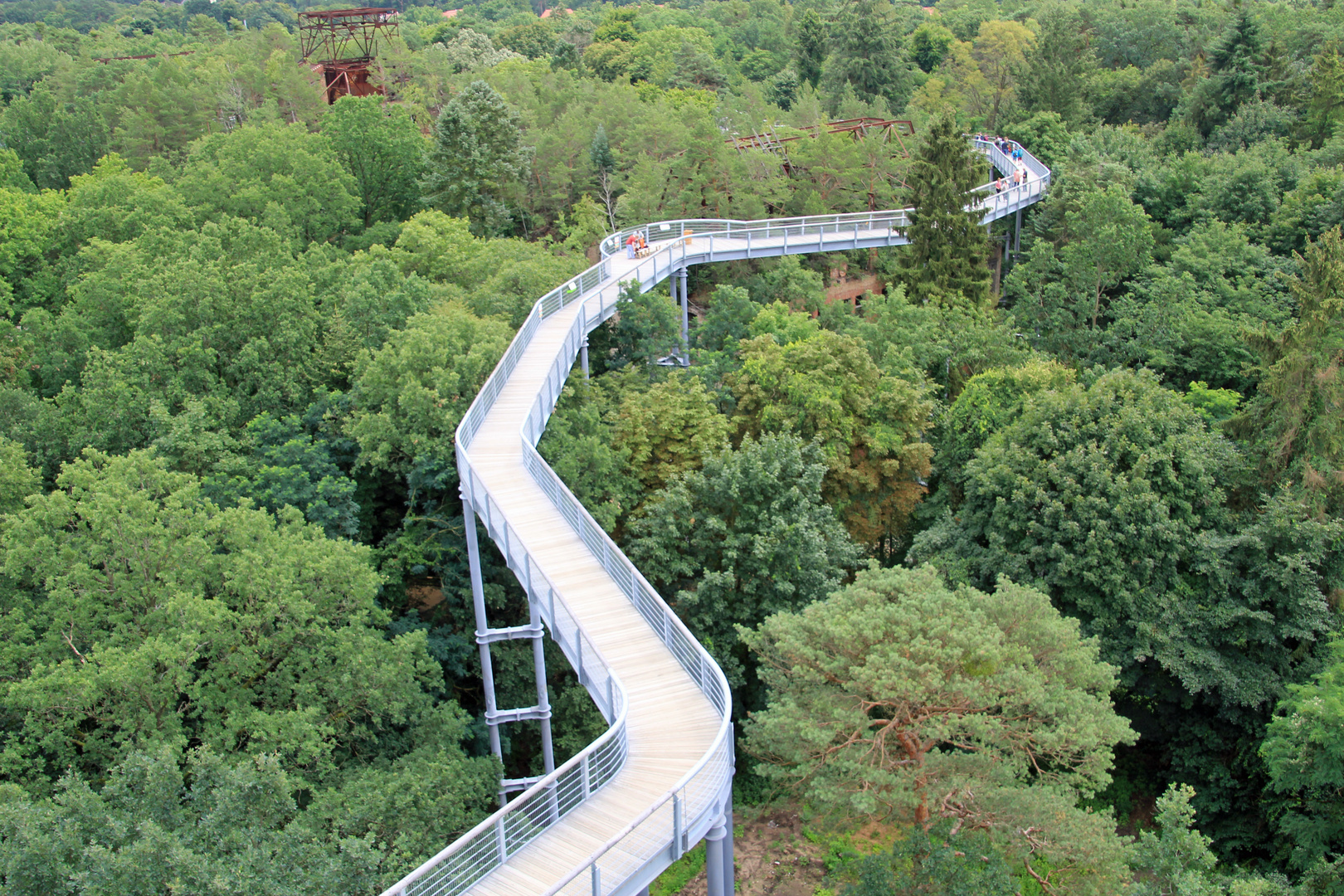 Heilstätten Beelitz: Baumkronenpfad