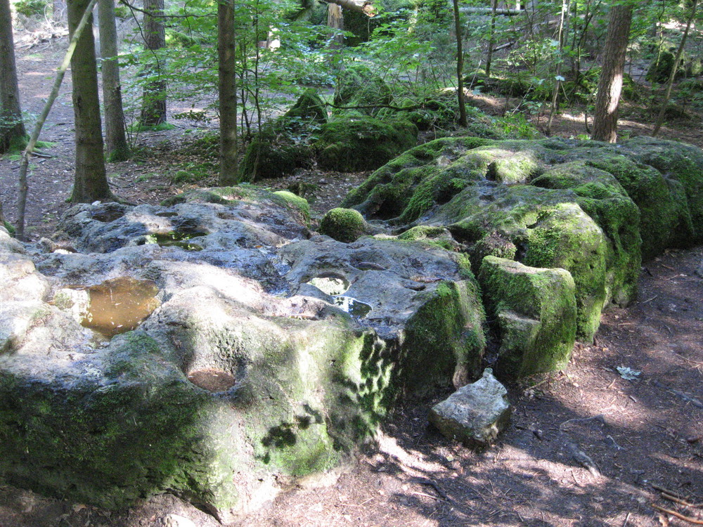 Heilstein Schüsselstein im Druidenhain