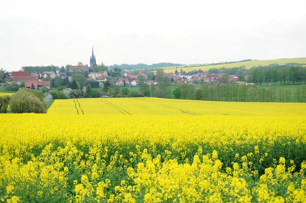 Heimat von spielmacher12 