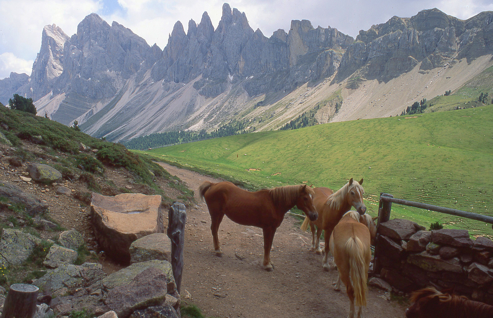 Heimat der Haflinger