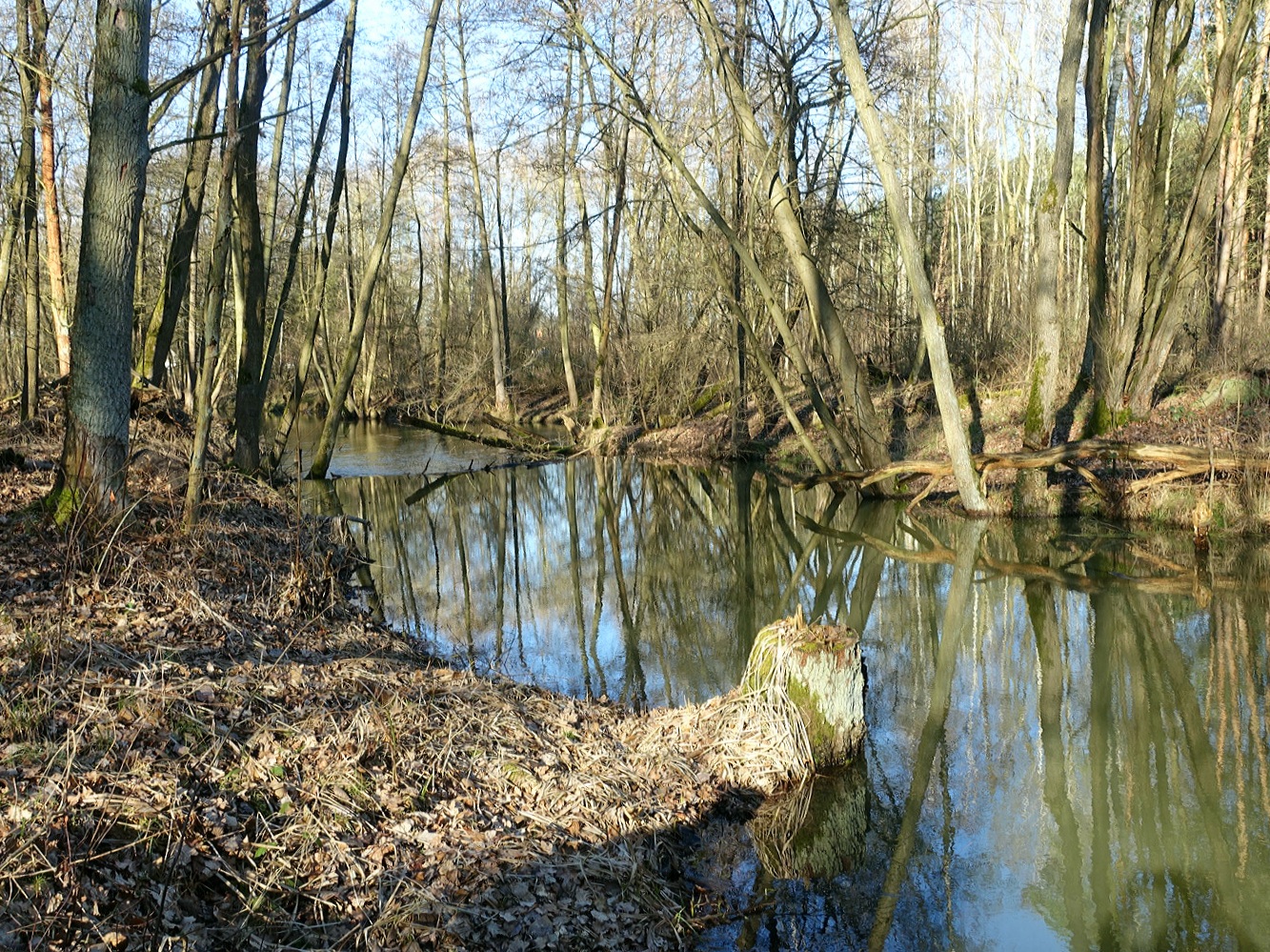 Heimat der Natur 