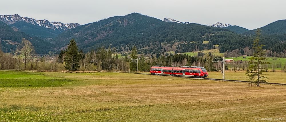 Heimat der "Werdenfels Hamsterbacke"