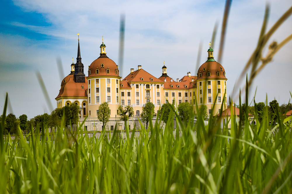 Heimat des Froschkönigs