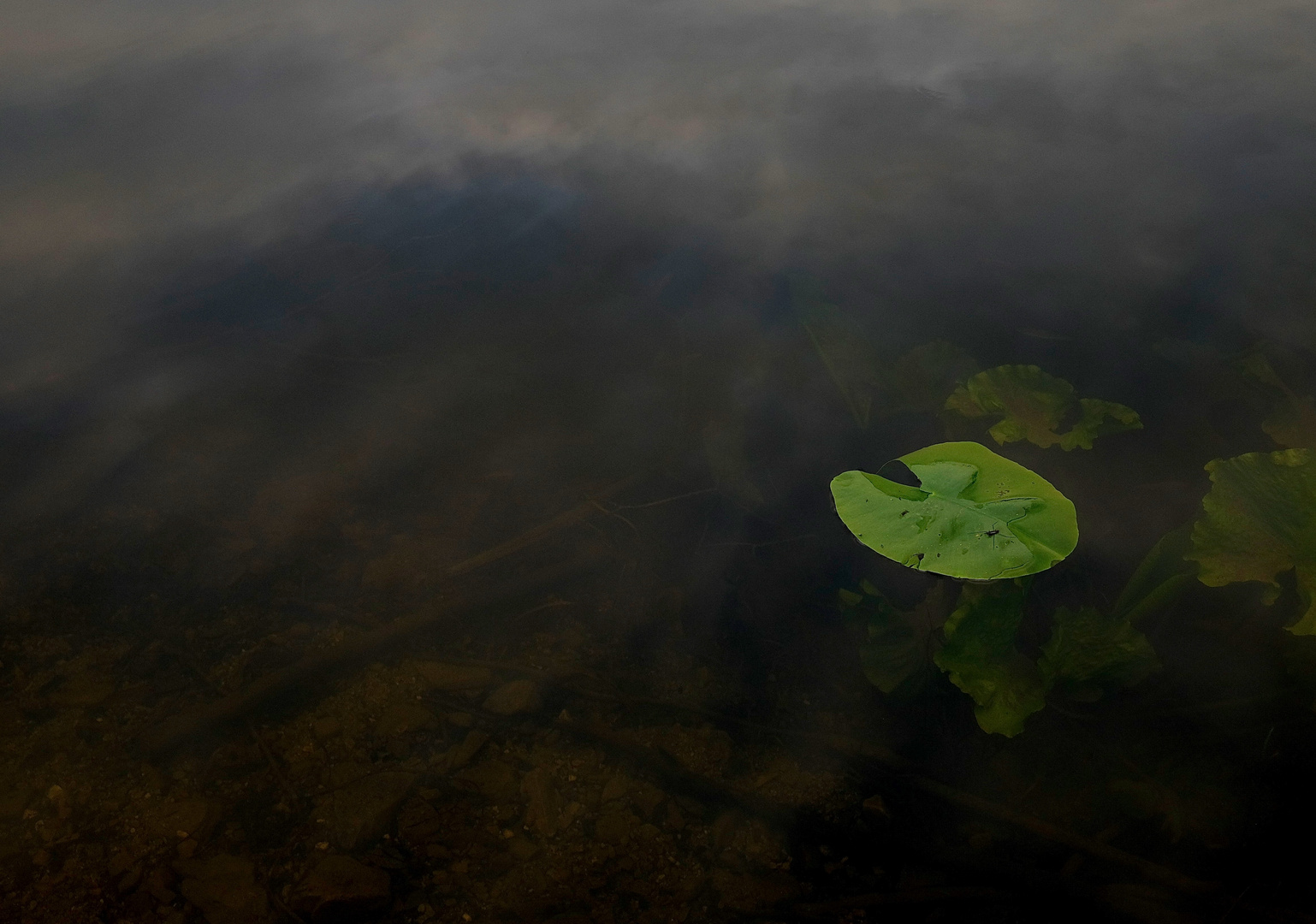 heimat (egelsee)