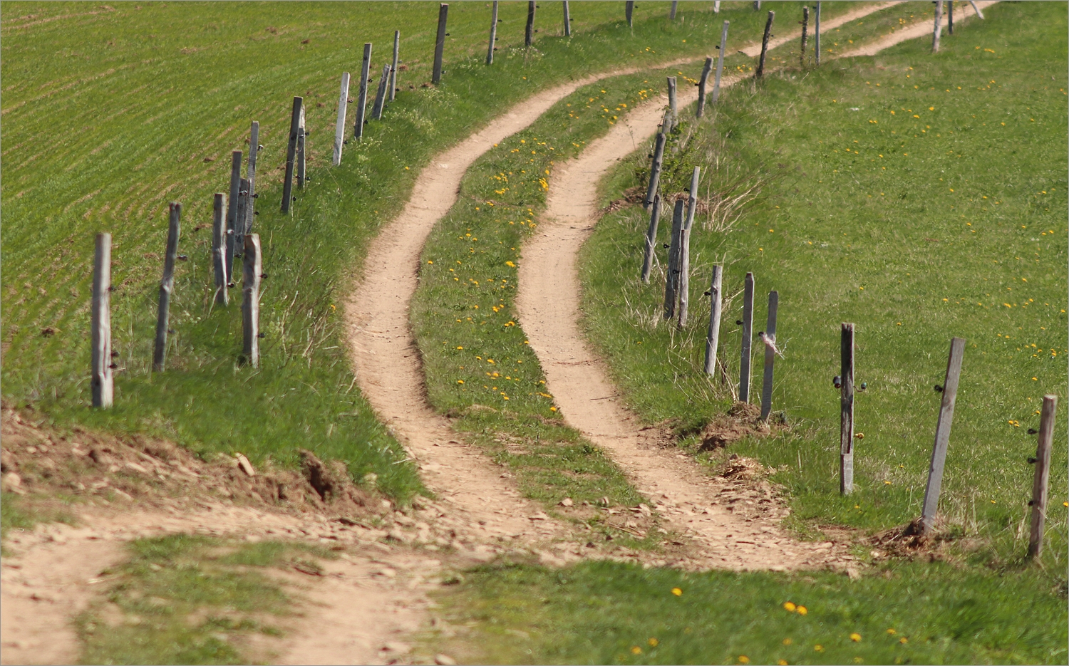 Heimat Erzgebirge