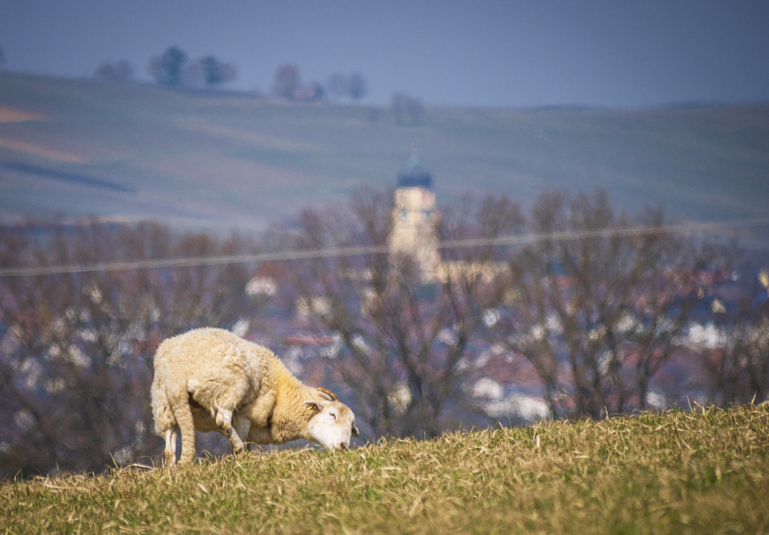 Heimat