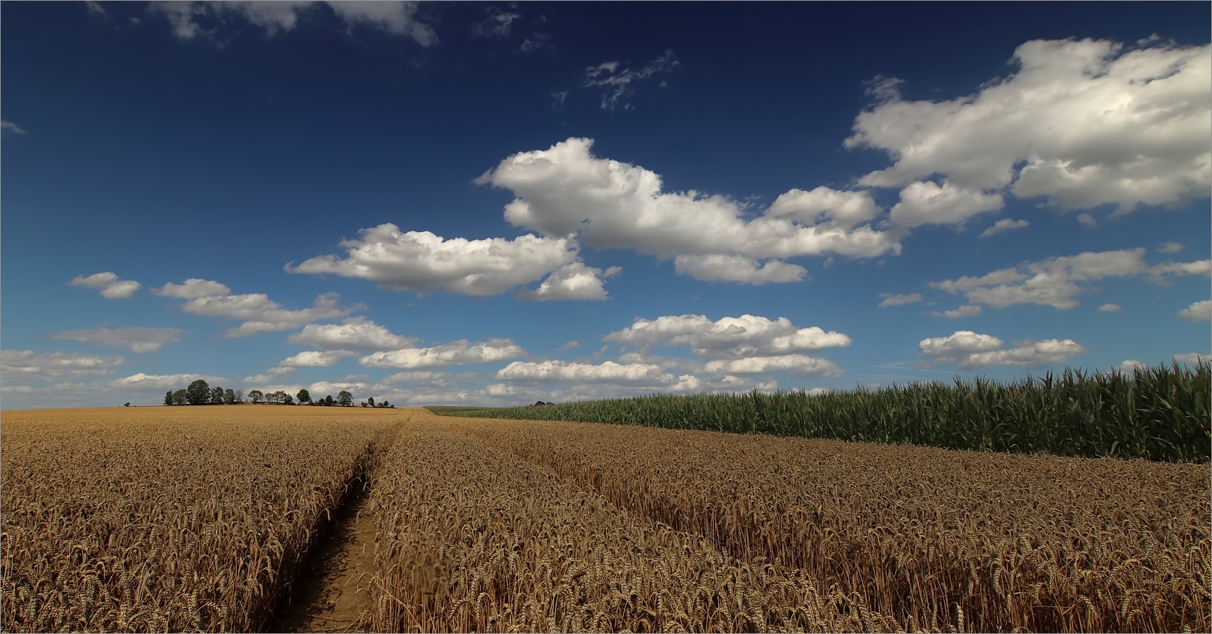 Heimat im August