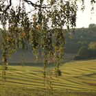 Heimat im Herbst