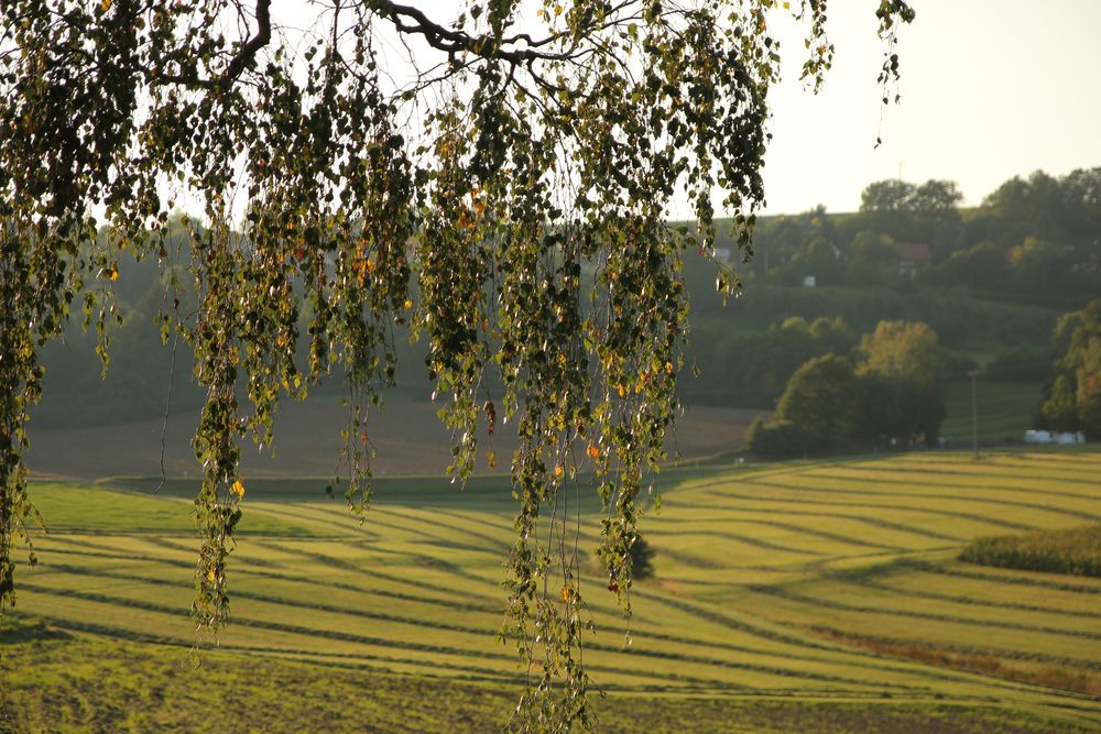 Heimat im Herbst