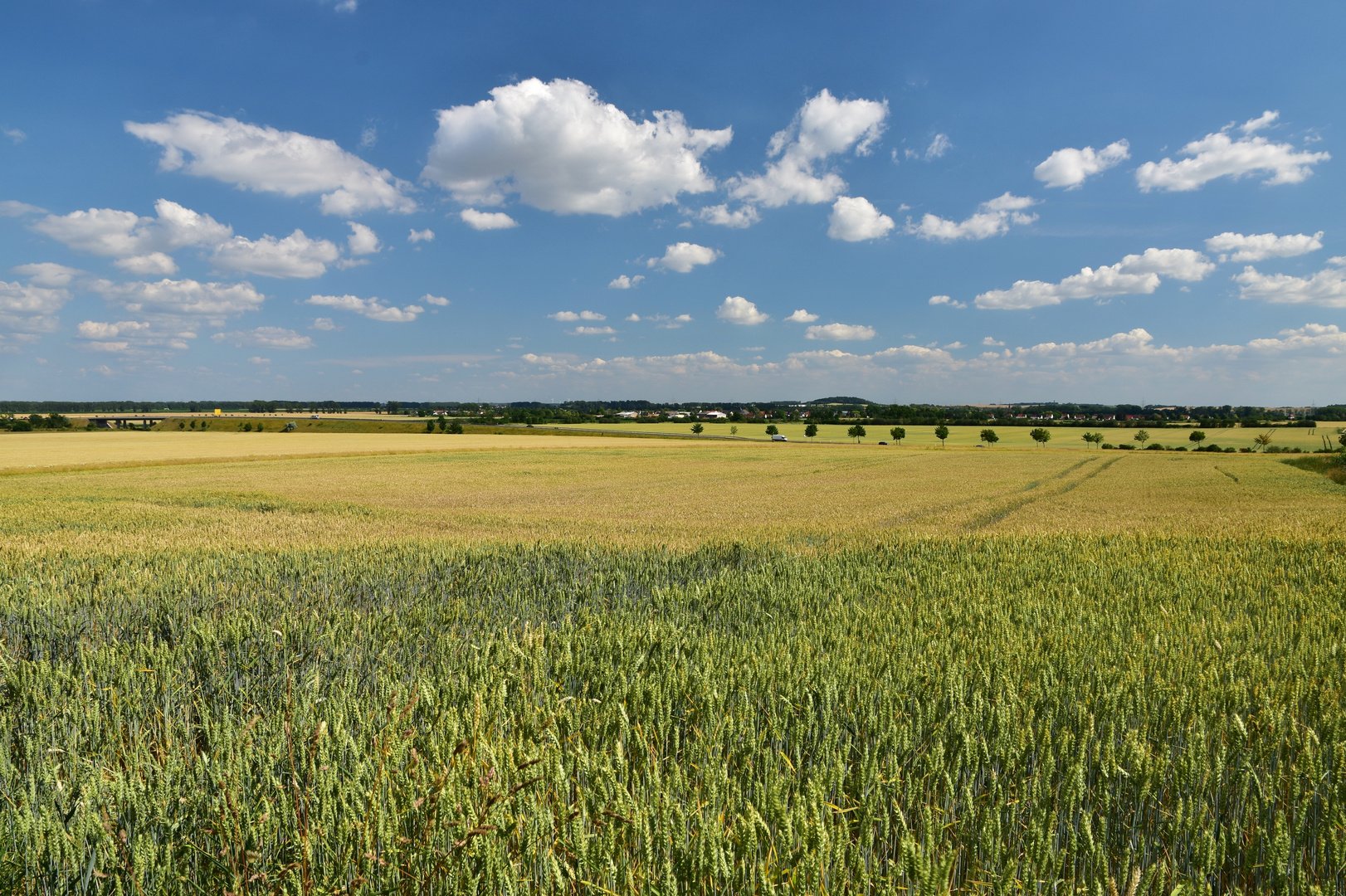 HEIMAT IM SOMMER