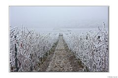 Heimat im Winter