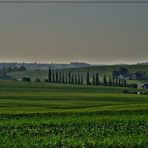 Heimat in diesiger Frühherbststimmung