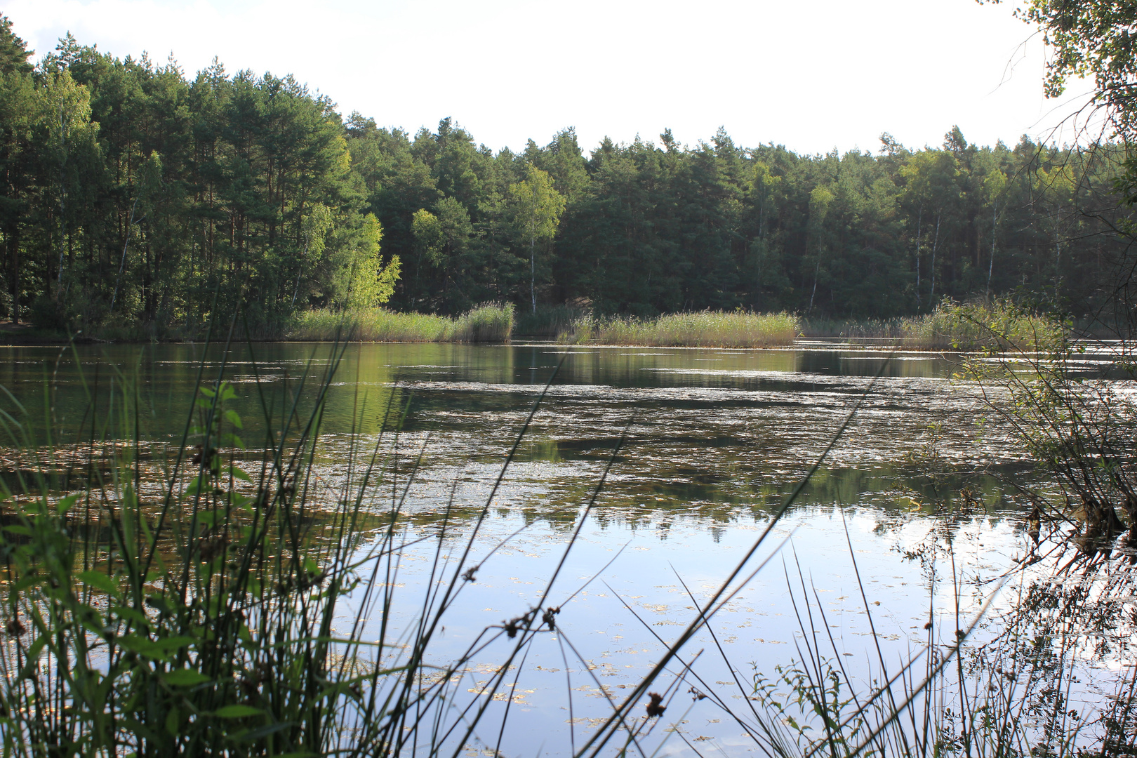 Heimat, Niederlausitzer Heidepark