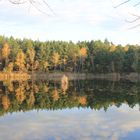 Heimat, Niederlausitzer Heidepark V