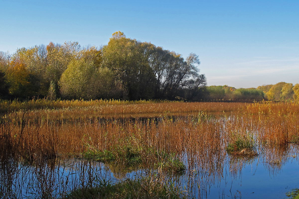 Heimat Niederrhein 3