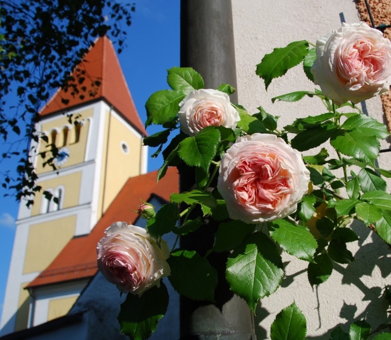 Heimat Oberpfalz