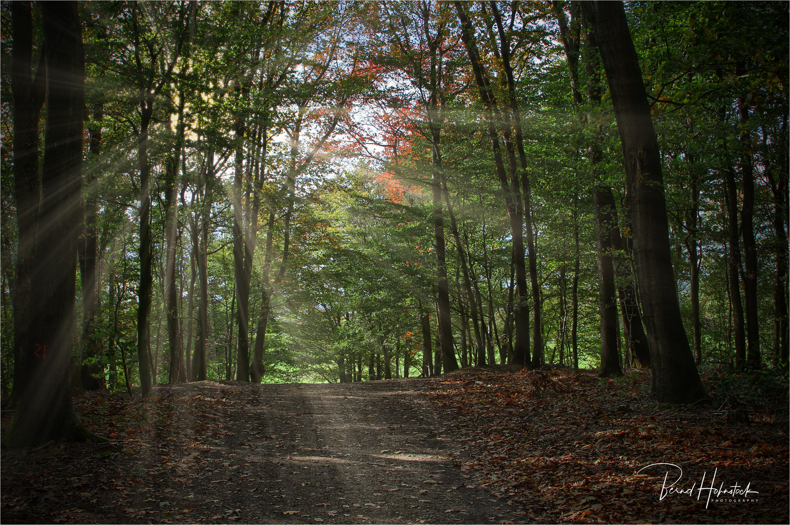 Heimat ..... Wärme des Licht