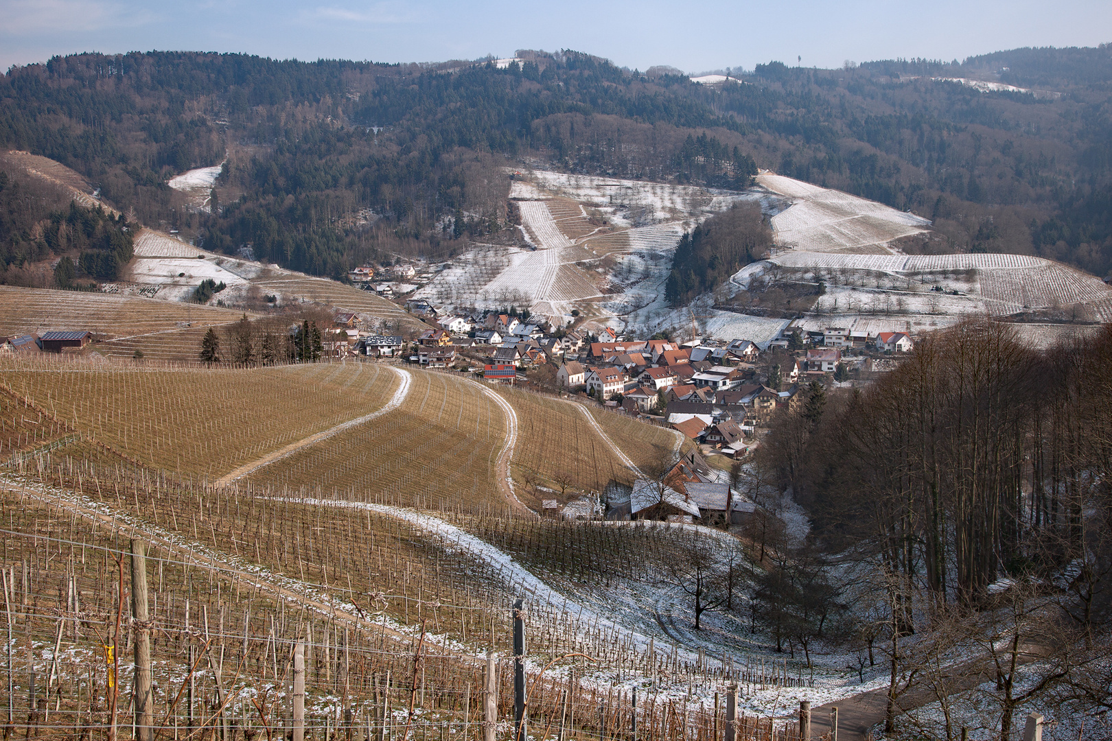 Heimat, Weinberge, Schwarzwald