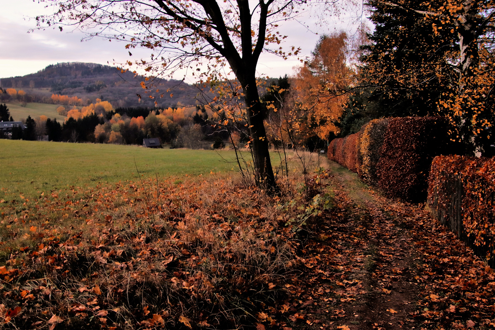 Heimat, Werte, Tradition, traumhafter Herbst im Osterzgebirge