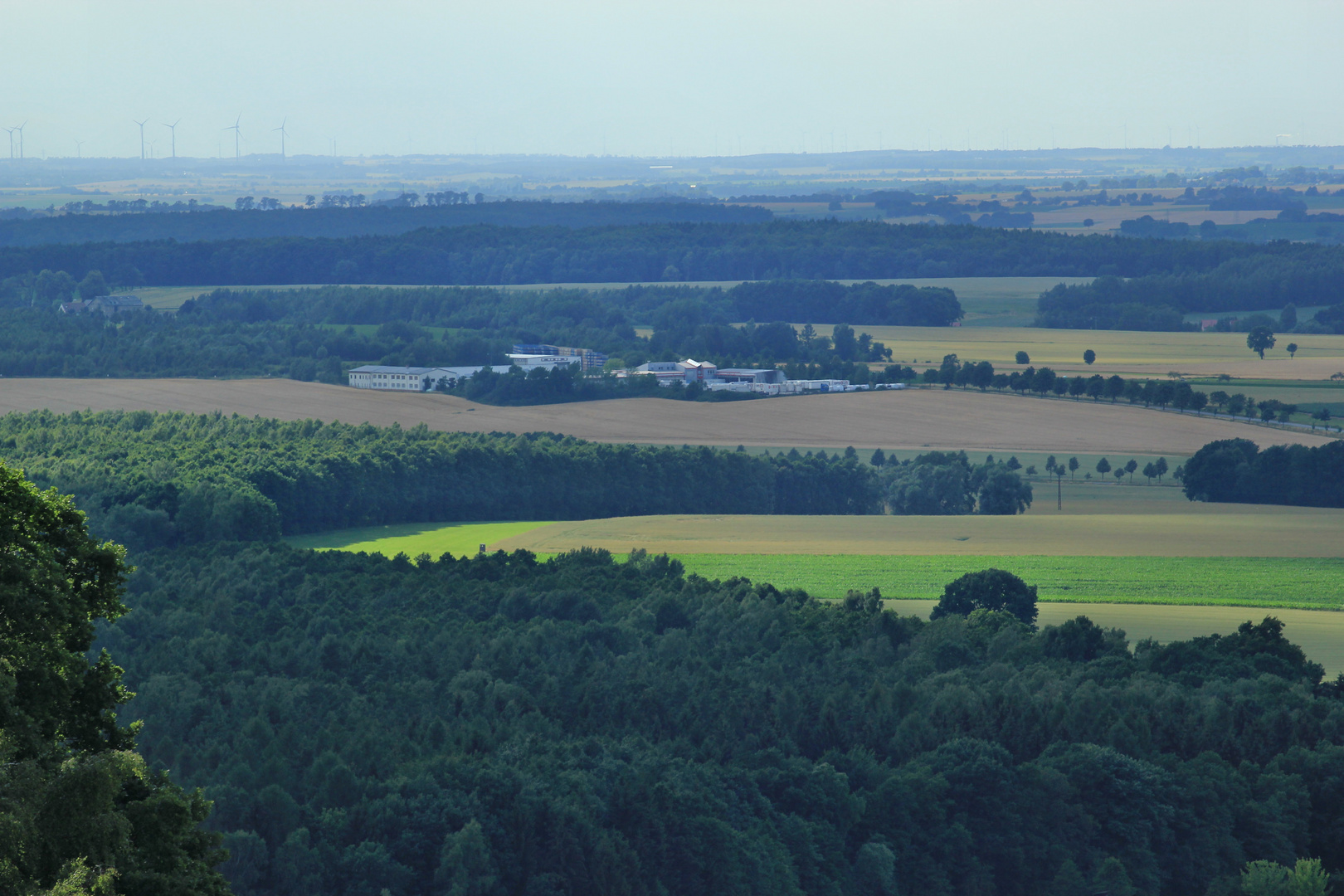 Heimatblick von der Langenberger Höhe (1)