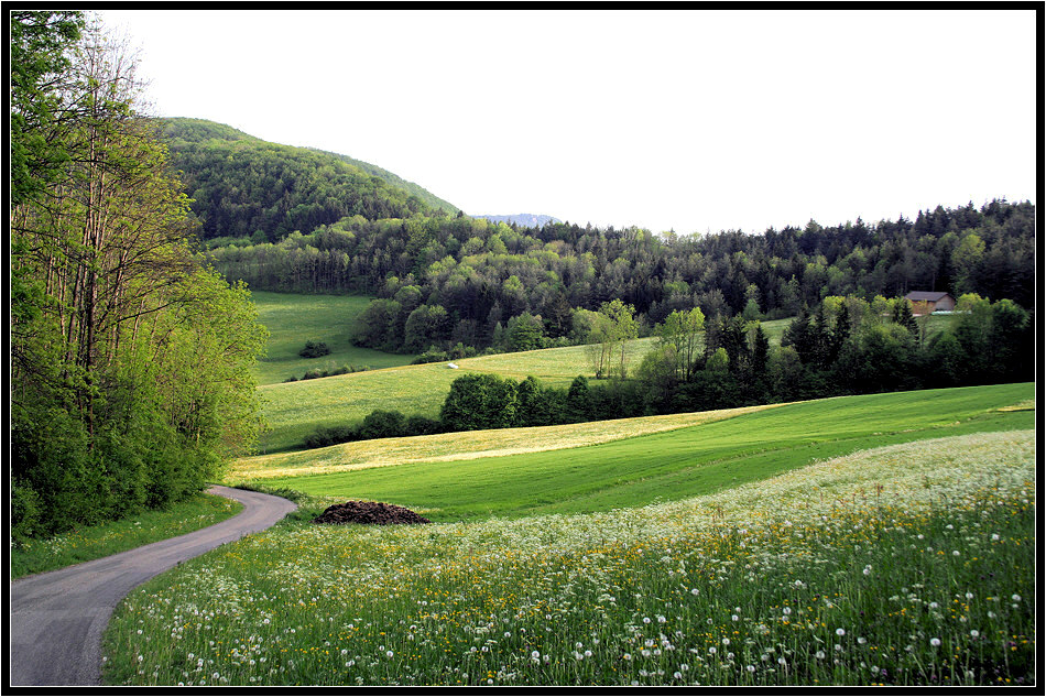 Heimatgefühle (3) ...