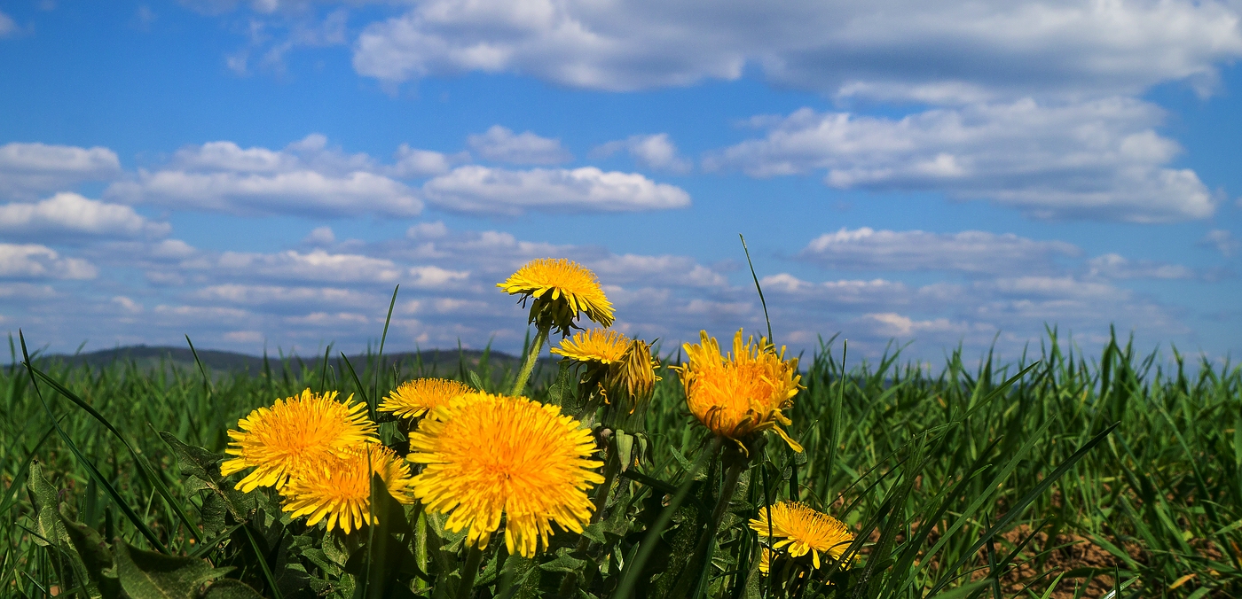 Heimatliche Landschaft