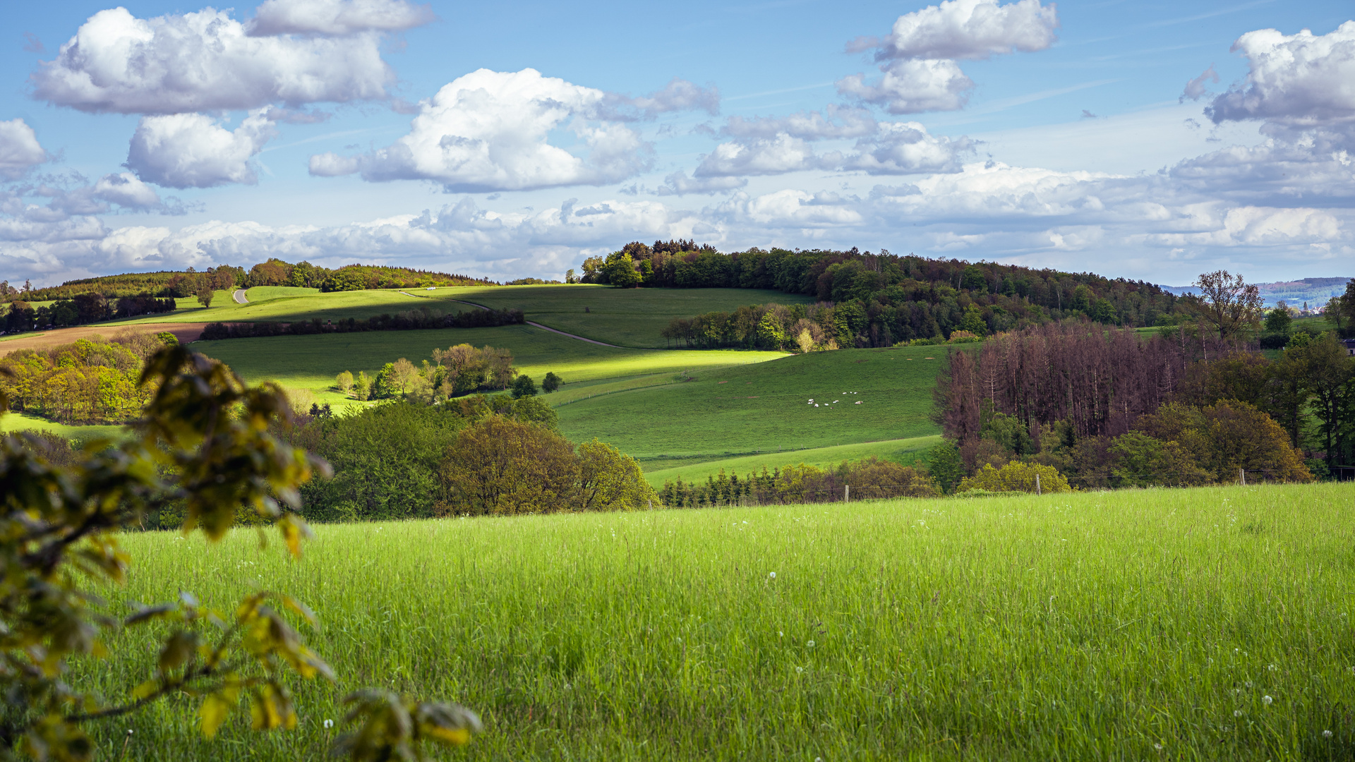 Heimatliche Landschaft