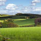 Heimatliche Landschaft