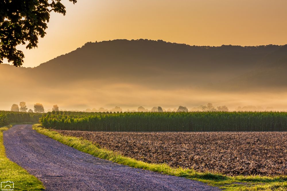 Heimatliebe