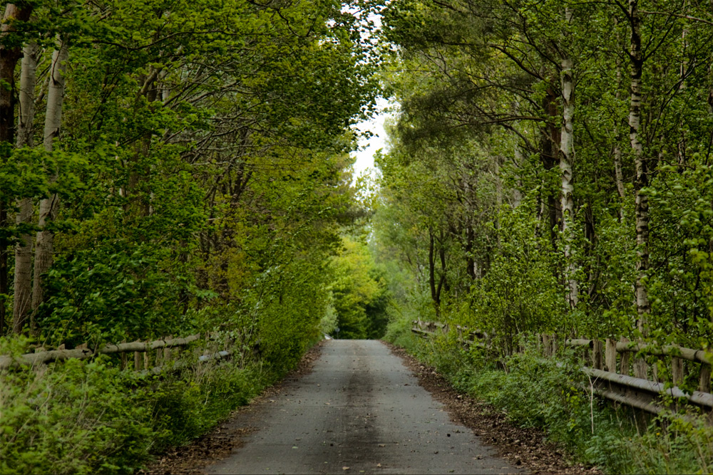 Heimaturlaub