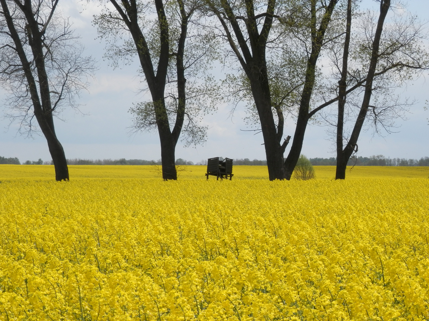 HEIMATURLAUB Mai 2015 MV/2