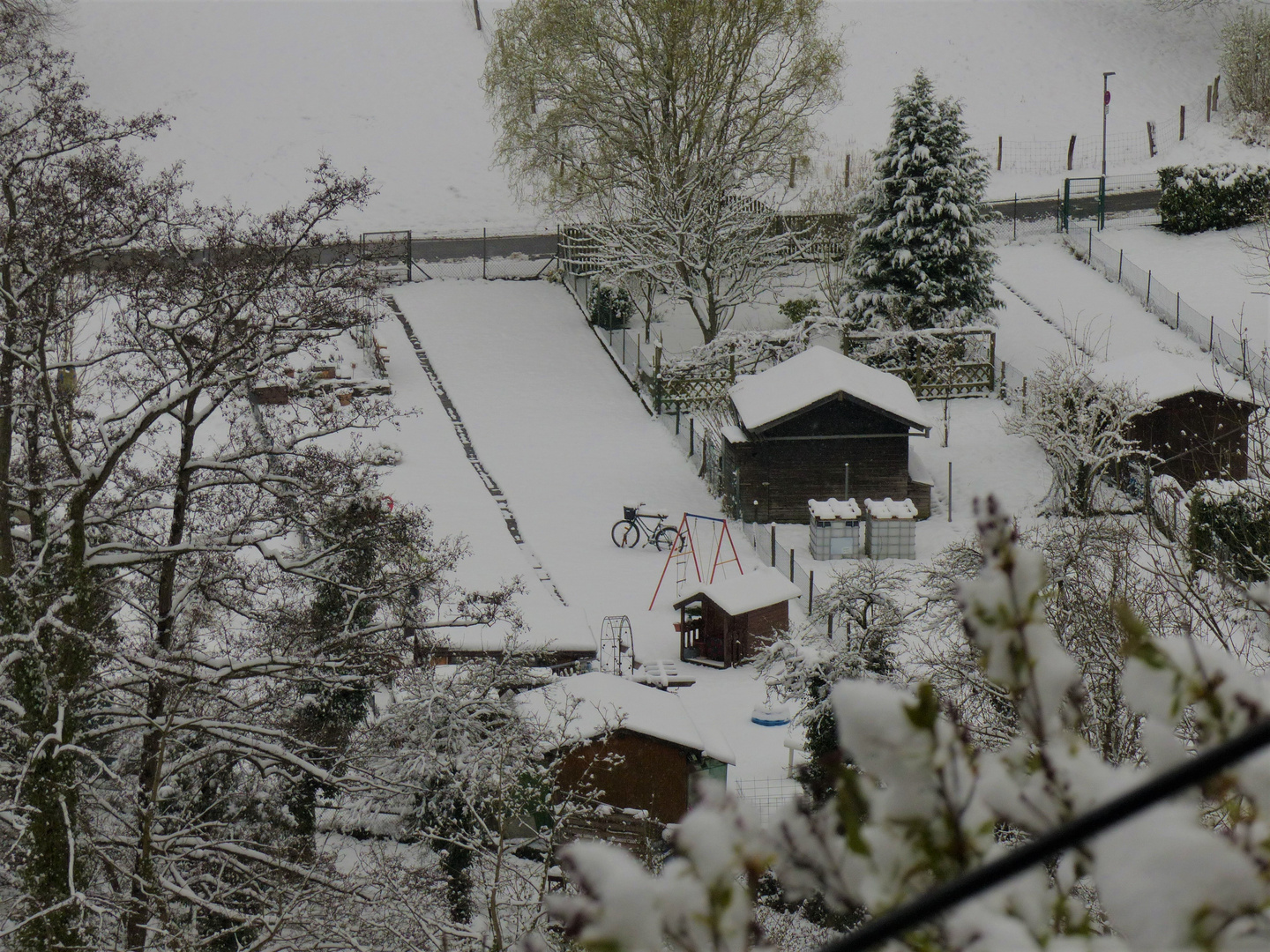 Heimbach - verschneite Landschaft