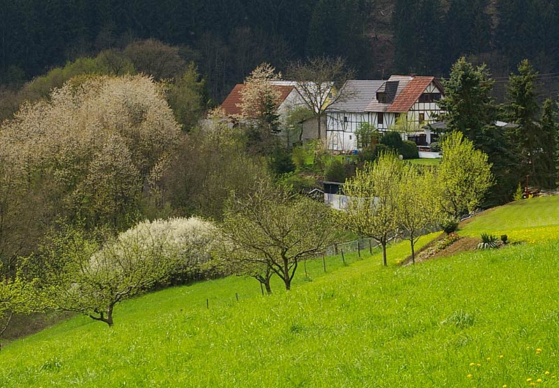 Heimborn in der Kroppacher Schweiz Foto & Bild jahreszeiten, frühling