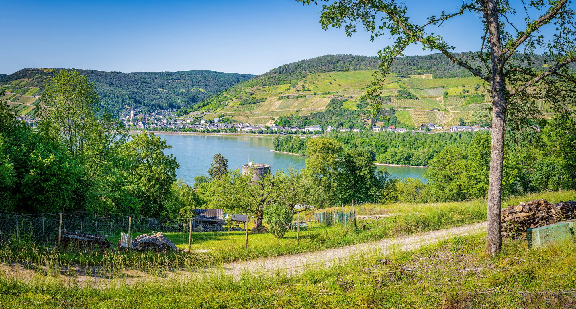 Heimburg in Niederheimbach (1)