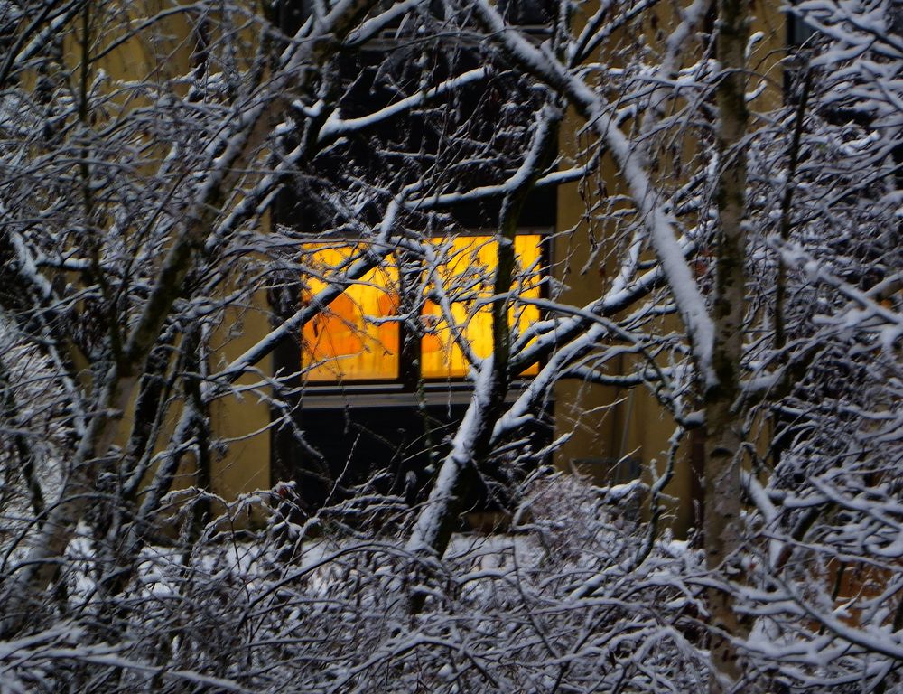 Heimelig erleuchtetes Fenster bei frostigen Außentemeraturen......